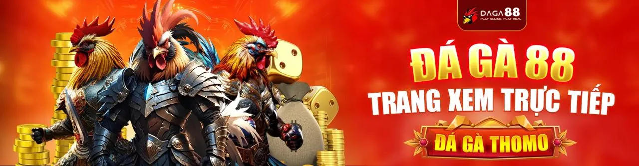 Tổng hợp các chương trình khuyến mãi mới nhất từ nohu 09