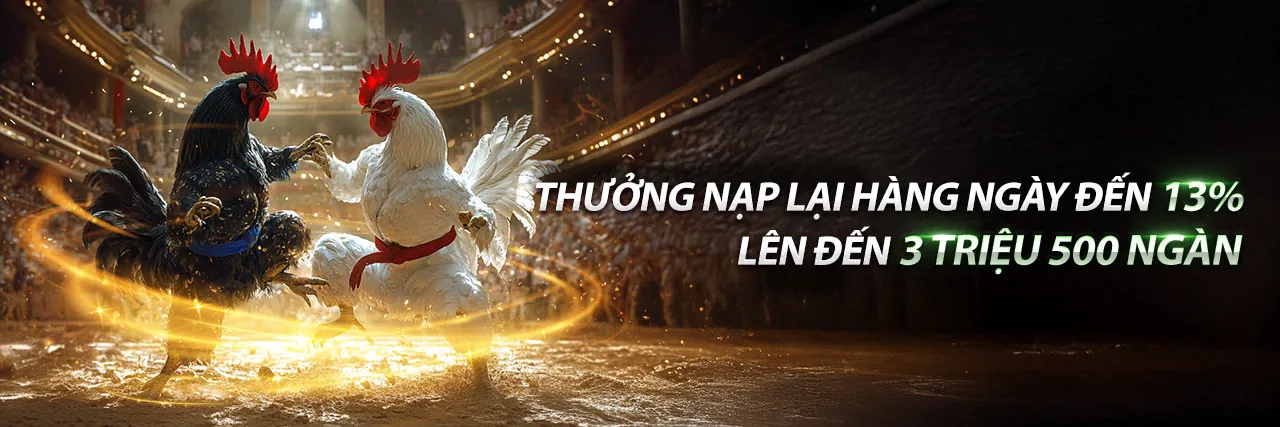 Đá gà trực tuyến sôi động tại nohu 09